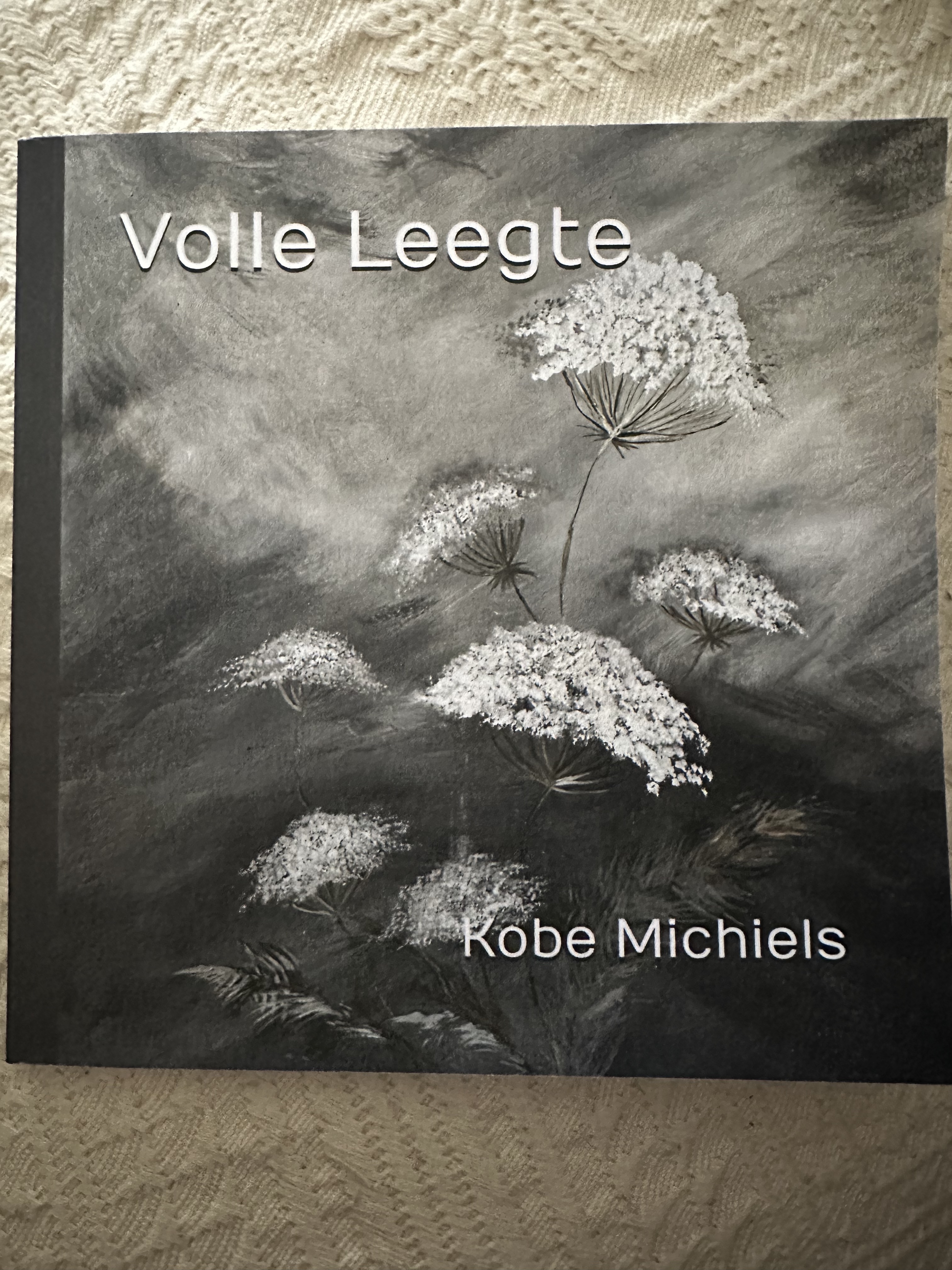 Volle Leegte
